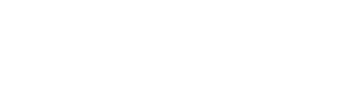 gym geek logo white